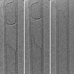 carbon_nanotube