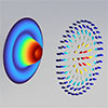 skyrmions