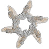 rna