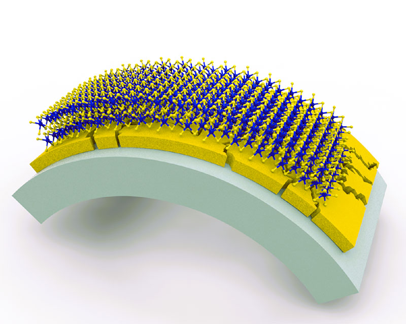 Illustration of the ultrathin layer of WS2 integrated with gold nanostructures on the flexible substrate, which enables ultra-strong coupling between WS2 excitons and gold plasmons