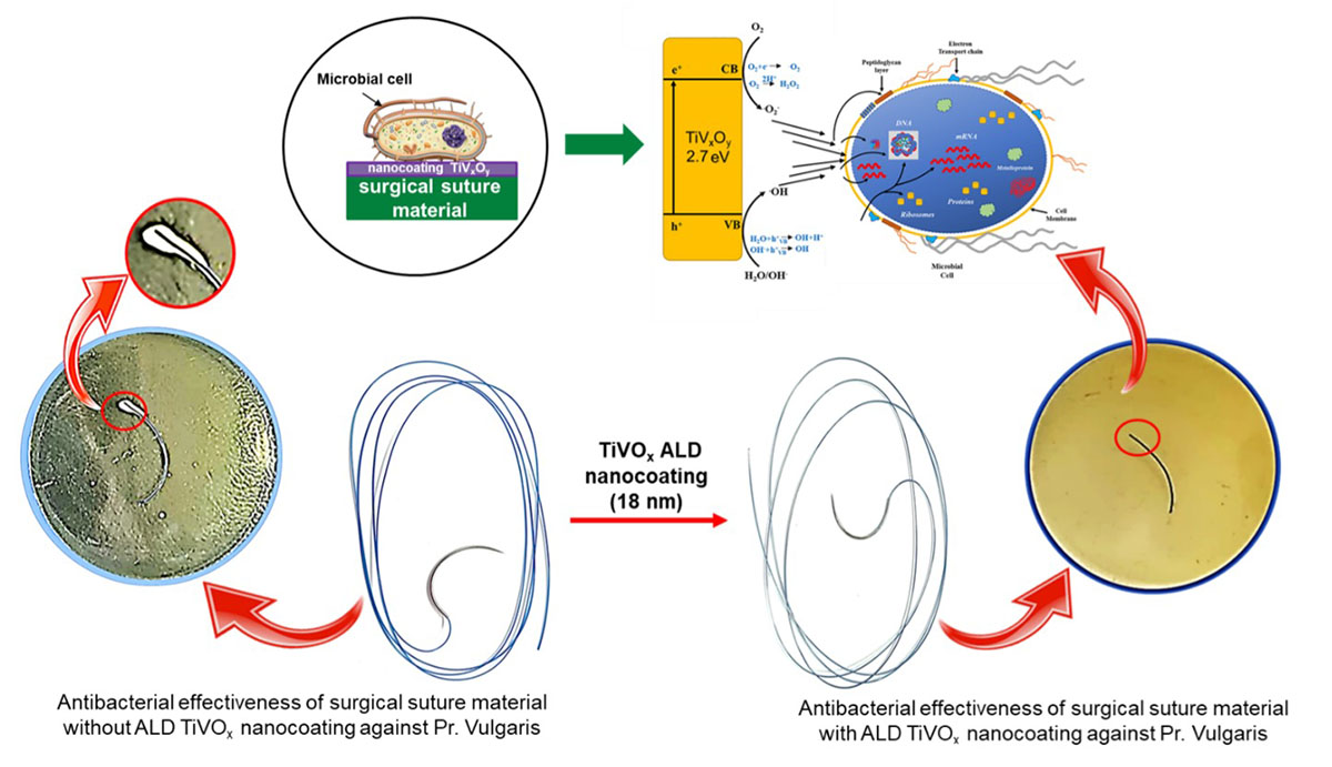 Mechanism of antibacterial effect of ALD TiVOx antibacterial coating