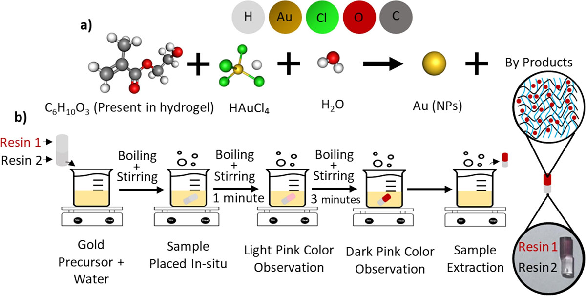 Programmed polymeric integration of gold nanoparticles into multi-material 3D printed hydrogels