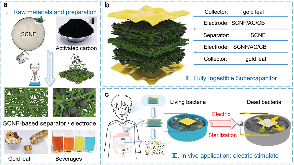 Fabrication and application of a fully ingestible supercapacitor