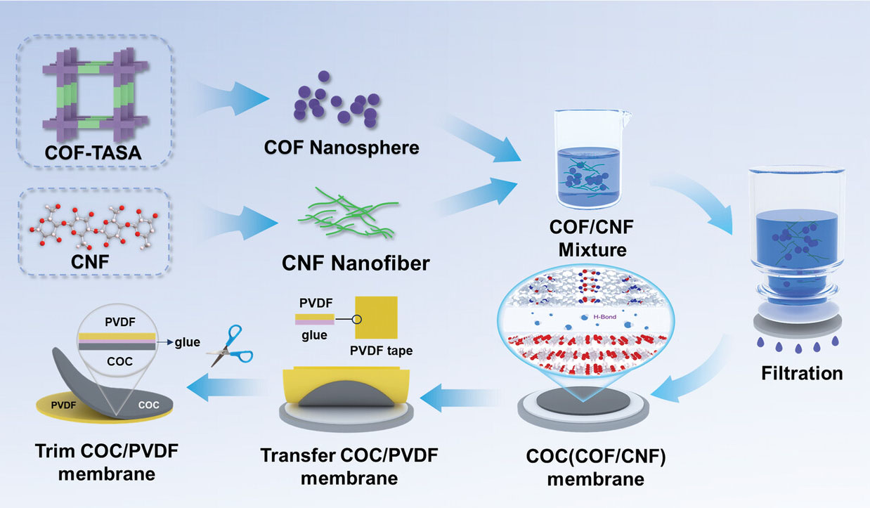 Fabrication and characterization of the COC/PVDF bilayer membrane