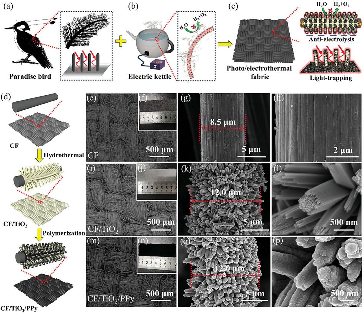 Biomimetic design and preparation of the photothermal-electrothermal fabric