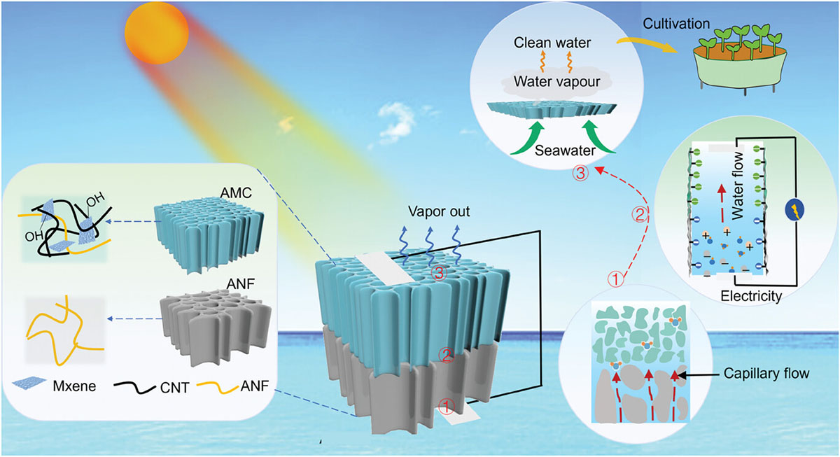 The schematic diagram of the system is designed around the Aerogel Evaporator with Asymmetric Structure evaporator