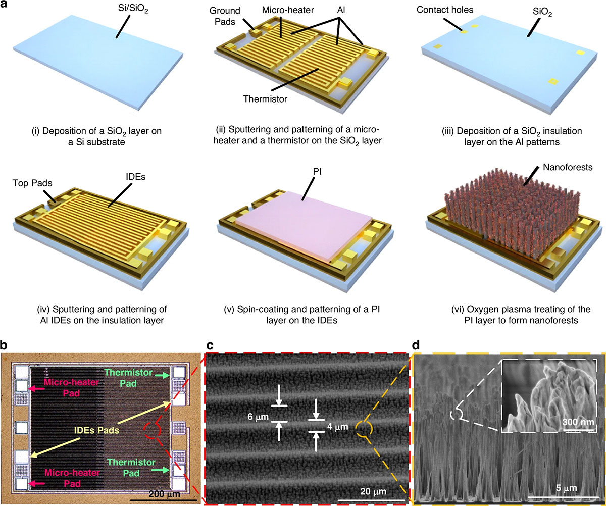 nanoforest-based humidity sensor
