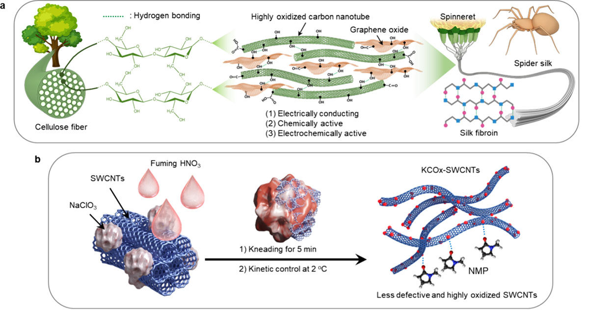 Less-defective and highly oxidized single-walled carbon nanotubes