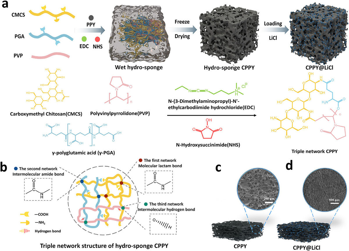 Preparation and characterization of CPPY and CPPY@LiCl