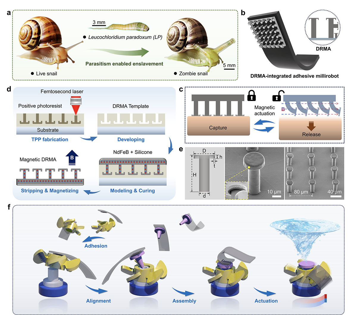 Concept and fabrication of an adhesive millirobot