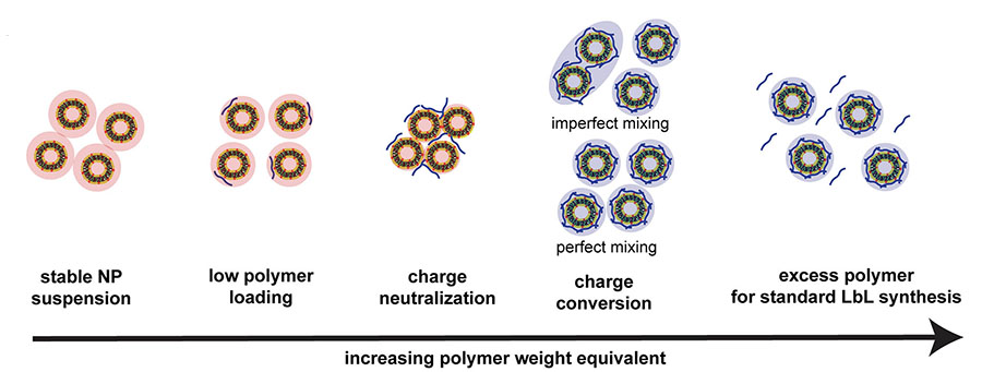 How polymer ratio affects nanoparticle stability during coating