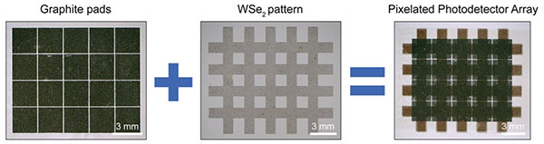 Composite image depicting the fabrication process of a WSe₂/graphite photodetector array, highlighting the transfer of laser-patterned WSe₂ film onto laser-patterned graphite pads on a polycarbonate substrate