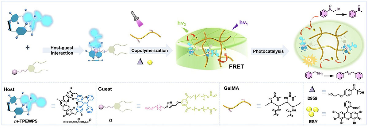 Schematic illustration of artificial leaves and their photocatalytic processes