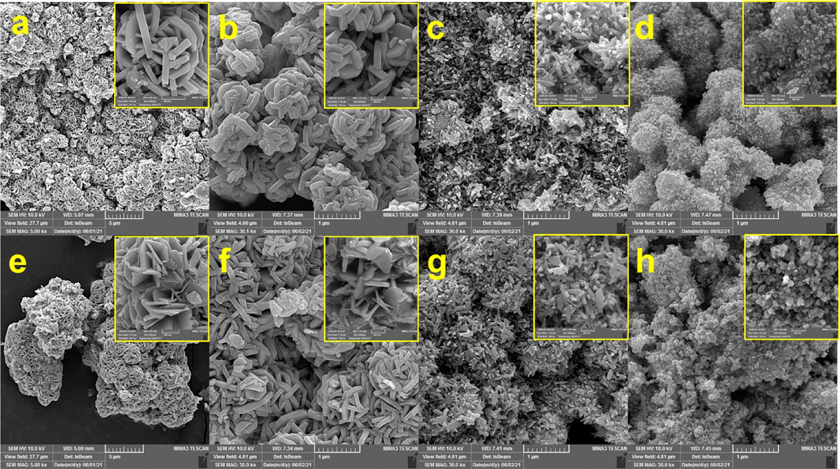 FESEM images of WO3−x nanocrystals