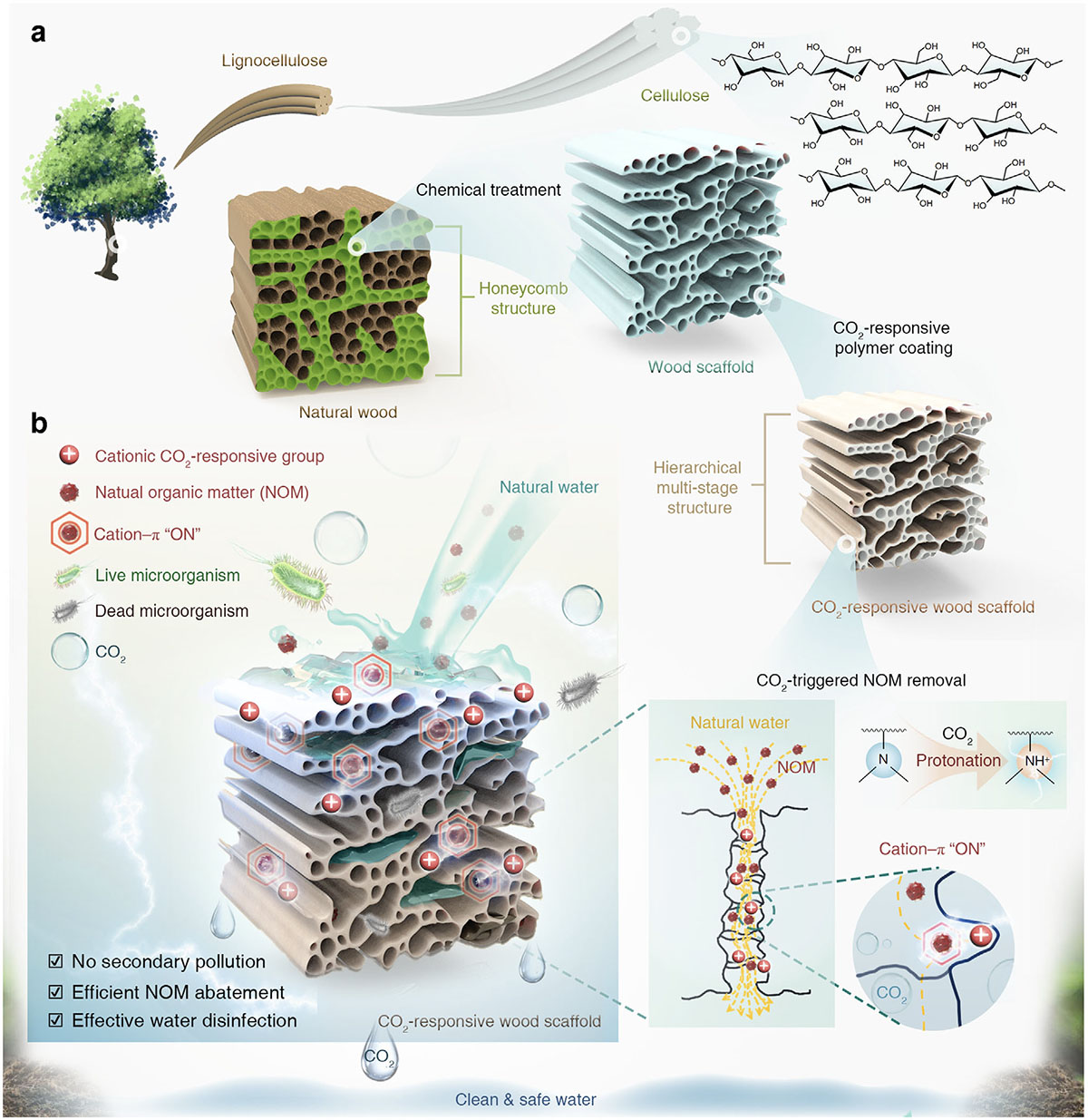 Design of the CO2-responsive wood-based adsorbent