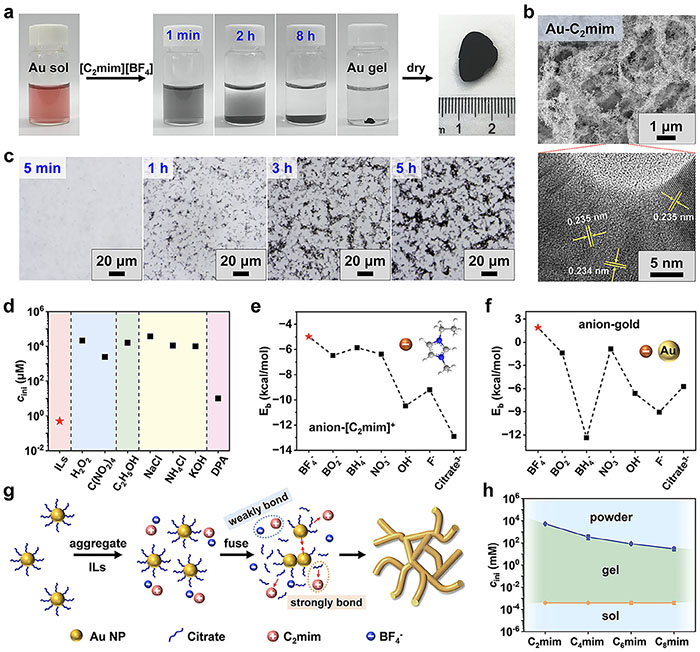 Investigation of ionic liquid-mediated fabrication of Au aerogels