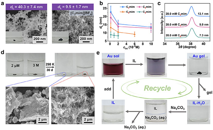 Analysis of the ligand and solvent function played by ionic liquids
