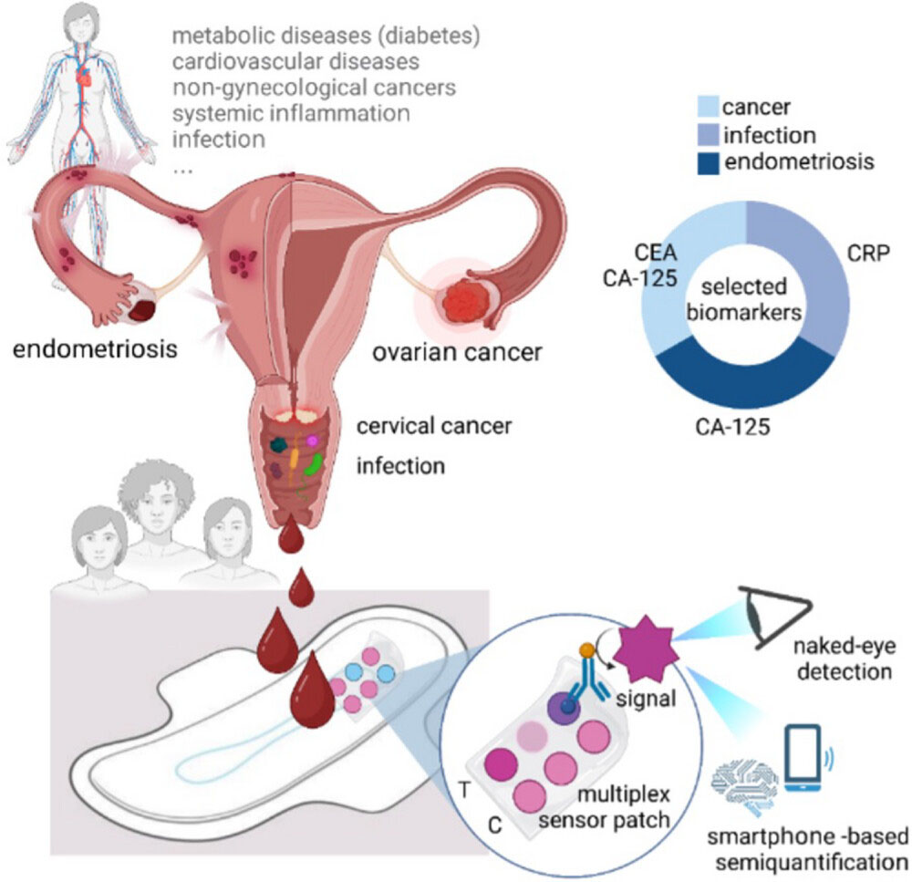 Concept of menstruation blood biosensor integrated into hygiene pads enabling direct naked-eye readable semi-quantitative analysis of biomarkers in unprocessed menstruation blood