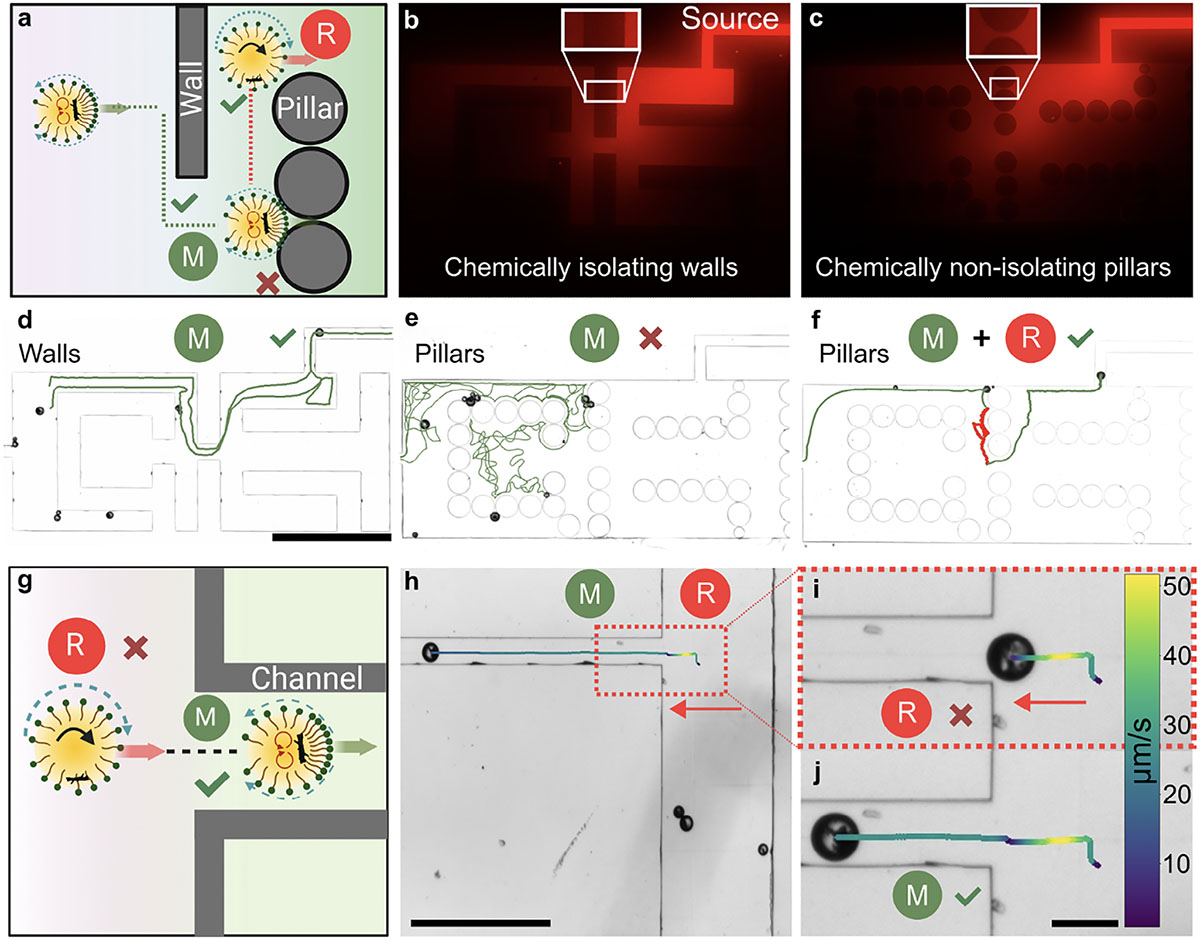 Switchable two locomotion modes of active magnetic droplets augment chemotactic navigation in confined spaces