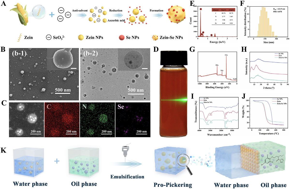 Comprehensive characterization and formation mechanism of Zein-Se NPs and Pro-Pickering emulsions