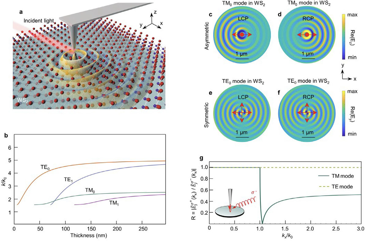 Spin-controlled excitation of guided polaritons in a layered semiconductor