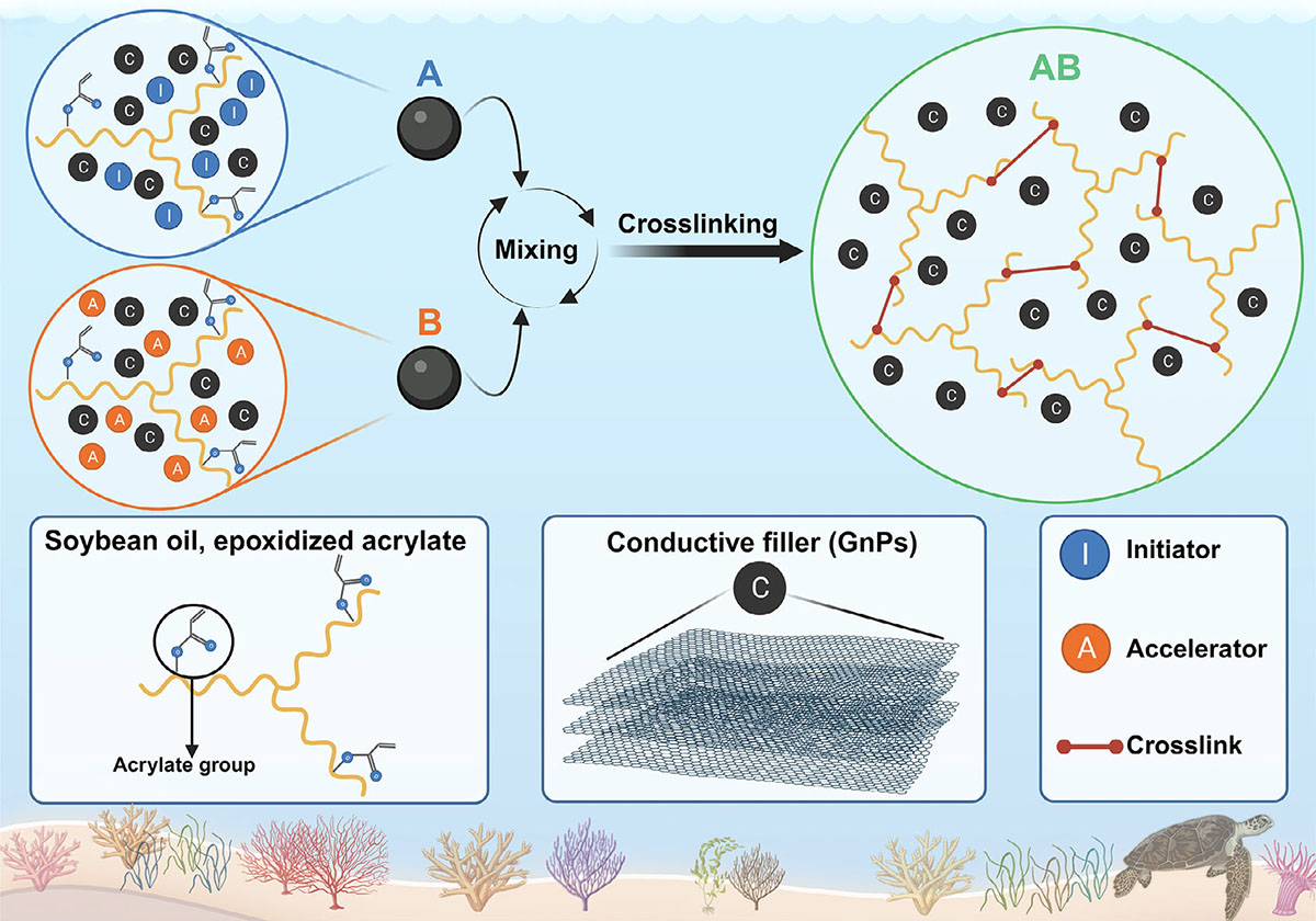 A schematic of the raw ingredients of the bicomponent conductive paste for coral reef restoration