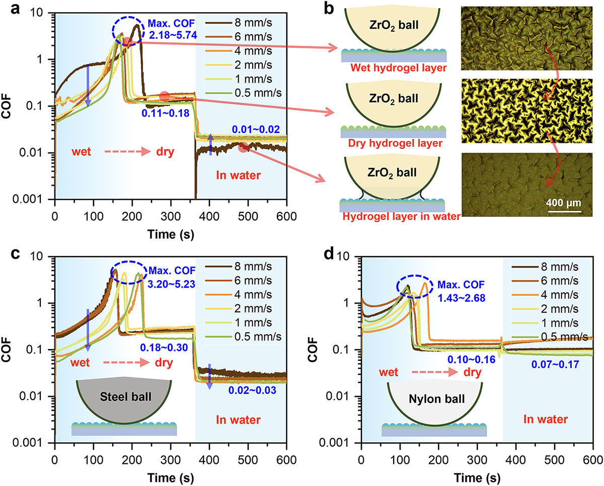 reciprocating tribological behavior of the hydrogel layer under different conditions