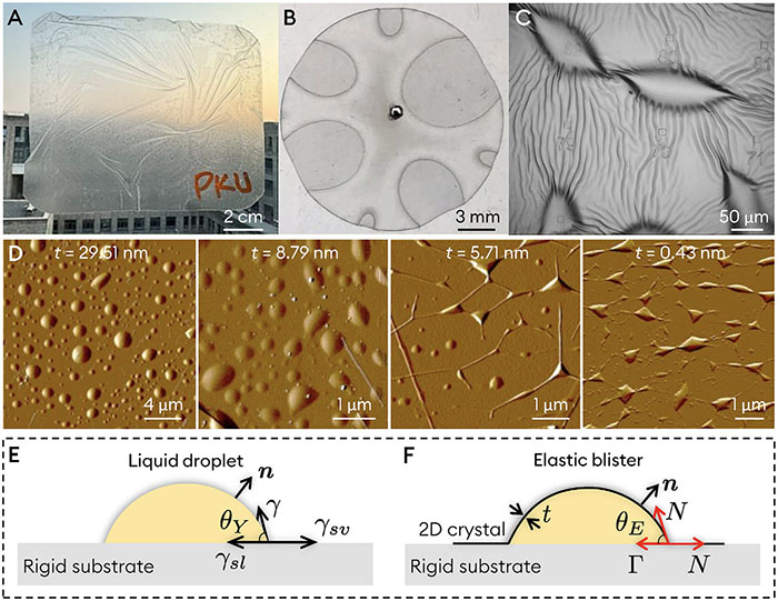 Elastic blisters across multiple scales