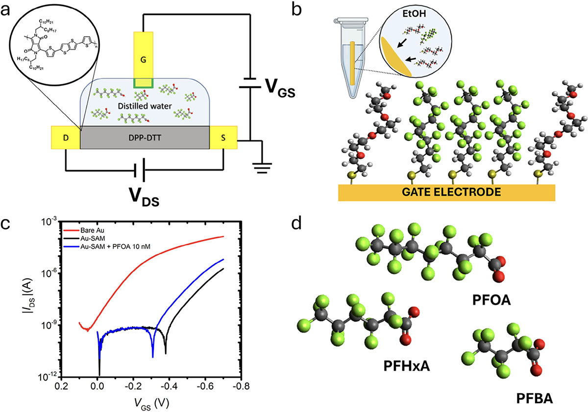 Diagram showing a PFAS sensor with a transistor connected to a gate electrode coated in mixed fluorinated and non-fluorinated molecules, illustrating how PFAS bind and change the electrical signal.