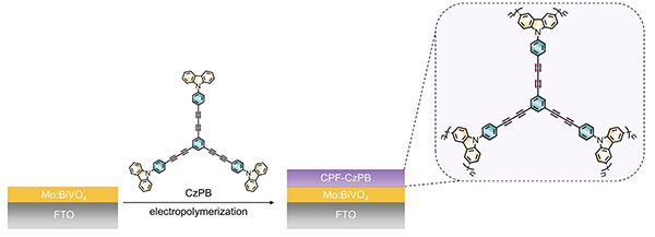 Schematic illustration of the fabrication process of a Photoelectrochemical System for Scalable Solar-Driven Hydrogen Peroxide Production via Molecularly Engineered Conjugated Polycarbazole Frameworks