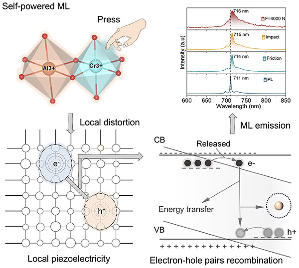Schematic of defect and local distortion induced self-powered mechanoluminescence mechanism