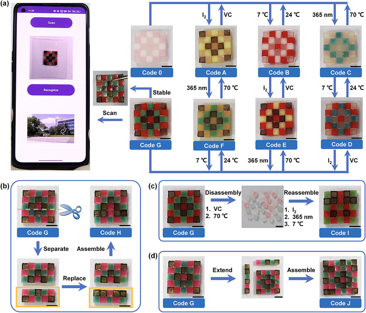 information code made with colored hydrogels