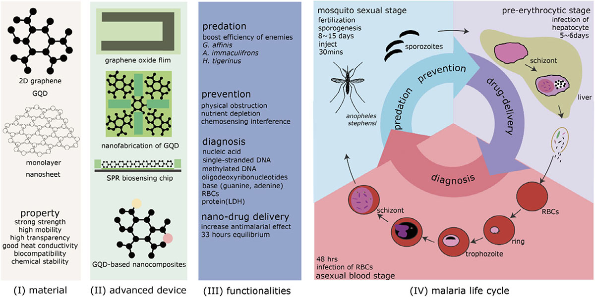 Graphene in the fight against malaria