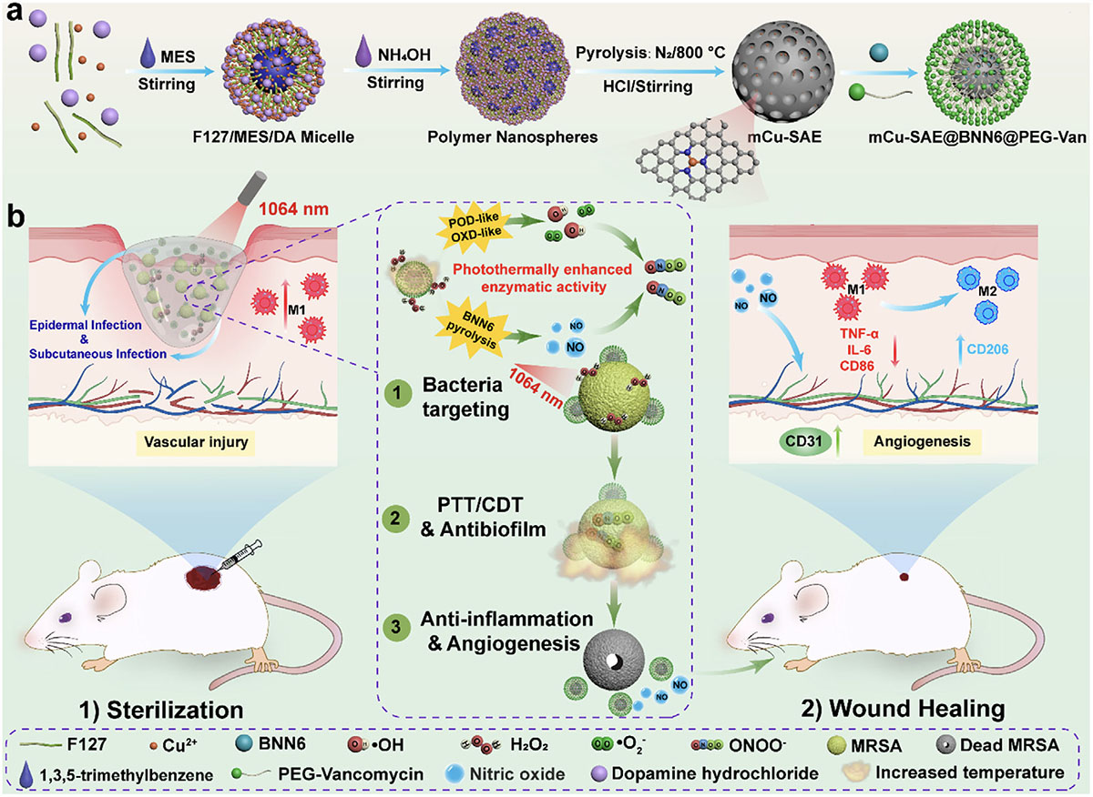A schematic diagram illustrating the treatment of diabetic epidermal wounds and subcutaneous cysts using nanozymes