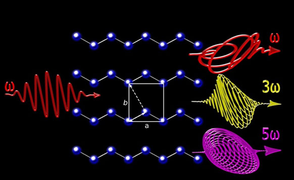 Light interacting with a two-dimensional nodal line semimetal produces high-order harmonics