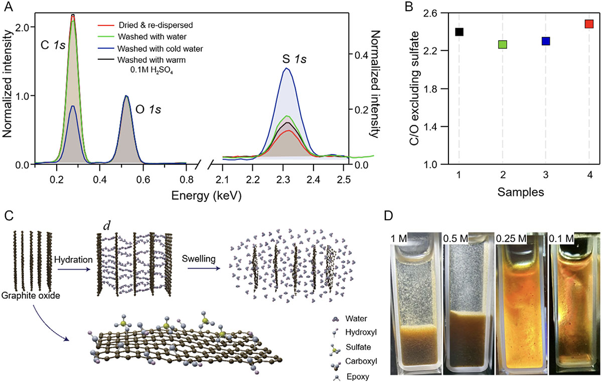 How sulfur groups make graphene oxide sheets fall apart in water