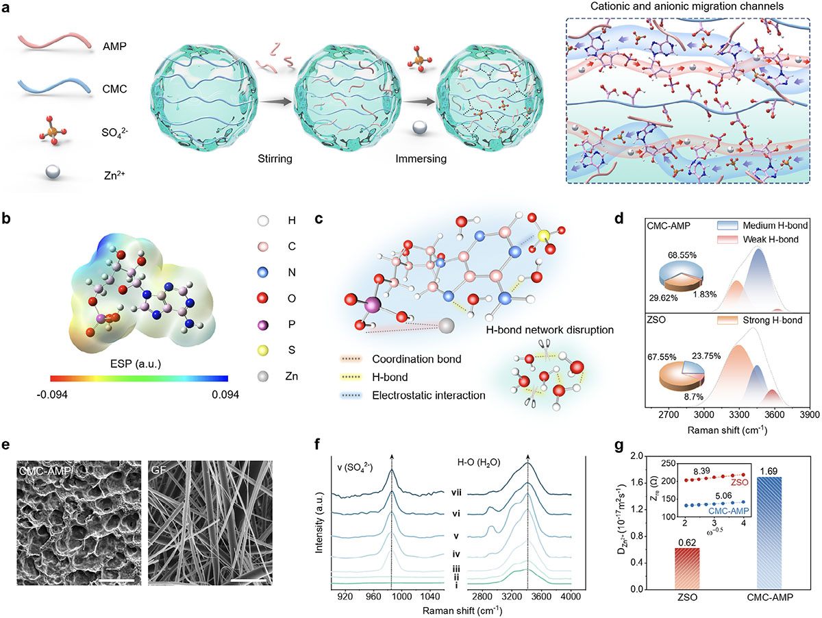 workings of a hydrogel electrolyte