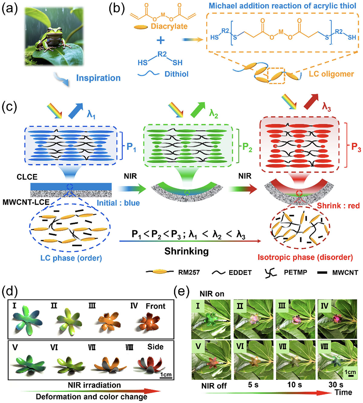 Bioinspired synergistic shape-color switchable actuation system
