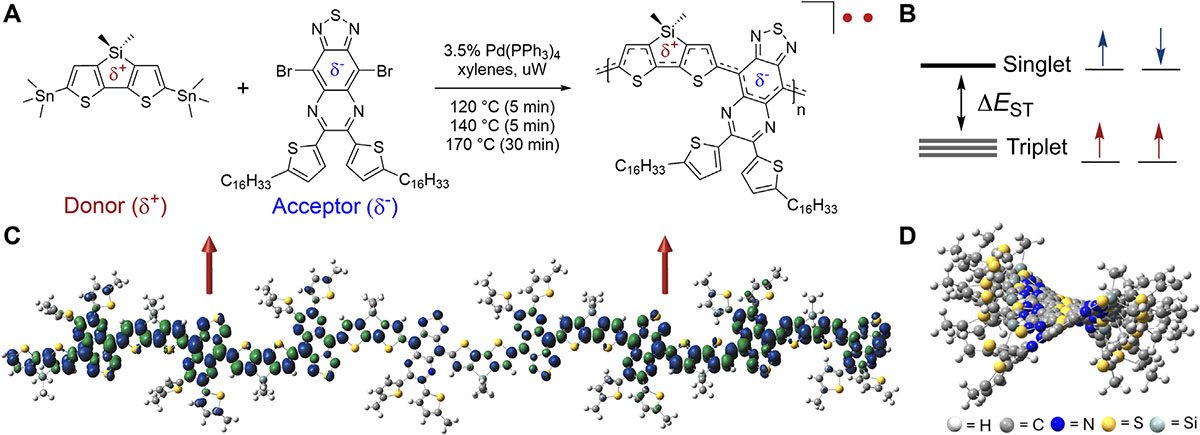 Synthesis of the high-spin donor–acceptor conjugated polymer and correlation of macromolecular, spin, and topological structure
