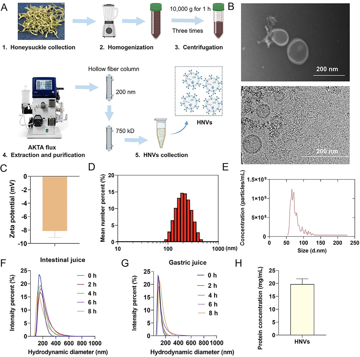 Identification and characterization of honeysuckle exosome-like vesicles