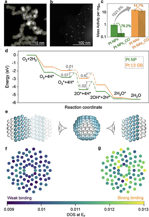 Platinum nanoparticles form networks with grain boundaries that boost catalytic activity and resist CO poisoning.