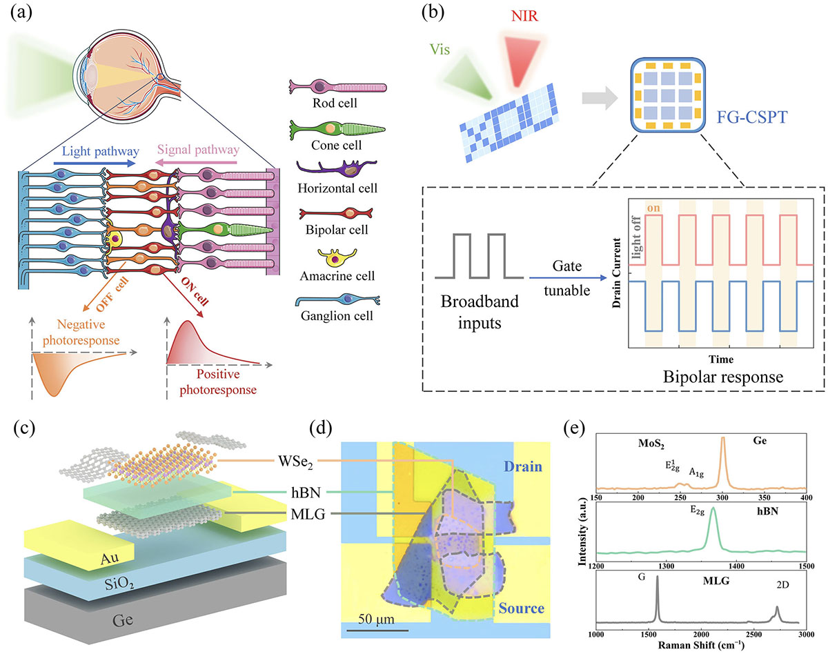 Design and characteristics of a floating-gate composite structure phototransistor