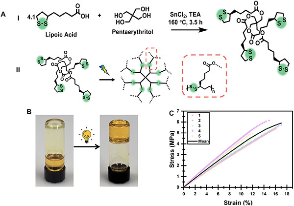 Monomer synthesis and bulk characterization of A Fully Recyclable, Solvent-Free, Wide-Spectral Photocurable Thermoset Adhesive