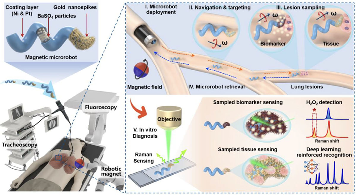 Schematic of the multifunctional microrobotic platform for targeted biopsy and SERS-based diagnosis of deep-seated microlesions