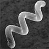 microbot