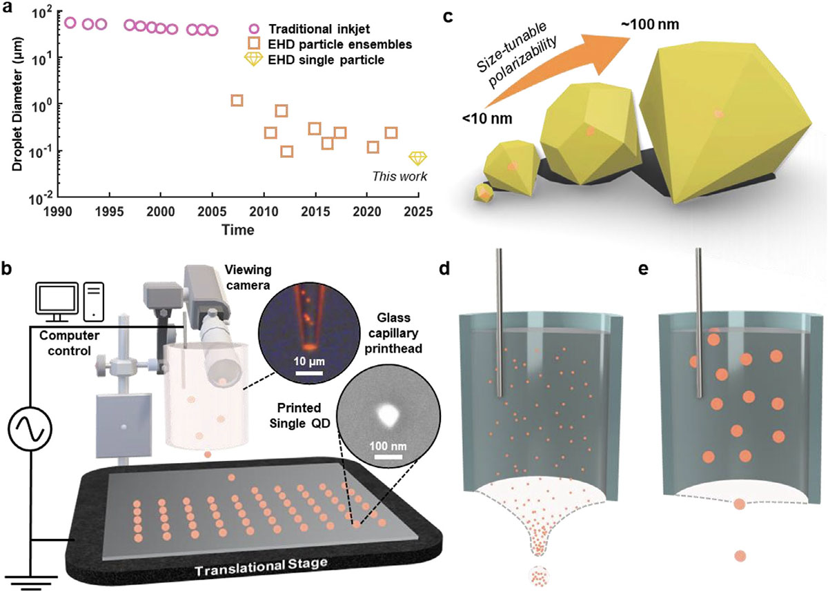 Deterministic Printing of Single Quantum Dots