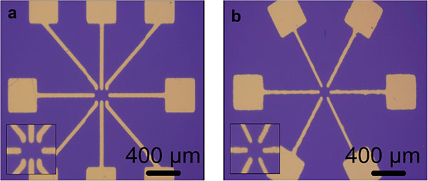 Optical micrographs of electrodes with custom patterns fabricated using an LCD-based MSLA 3D printer