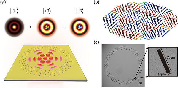 Schematics and microscopic image of a designed metasurface