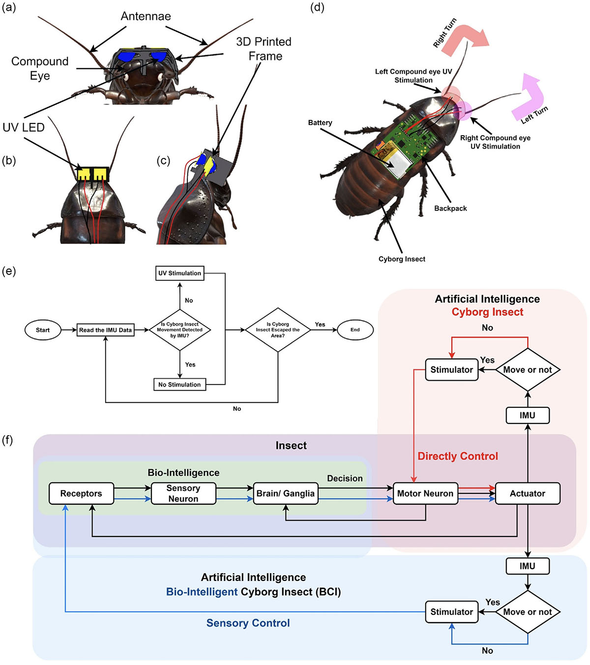 Overview of bio-intelligent cyborg insects concept