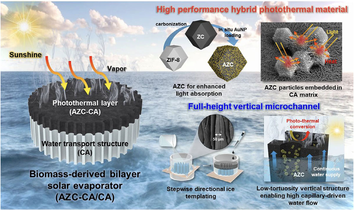 Schematic illustration of the bilayer solar evaporator fabricated through sequential ice templating